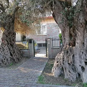  Appartamento La Casa Degli Ulivi Italia